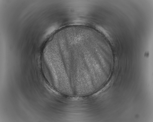 X0000090871403200708171616