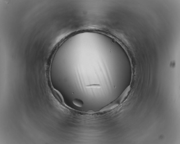 X0000090871404200708171616