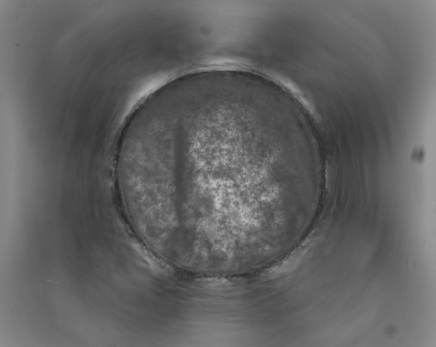 X0000090871405200708171616