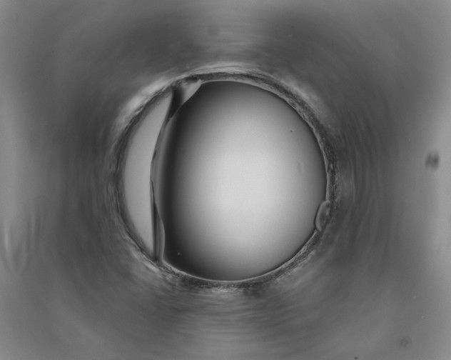 X0000090871406200708171616