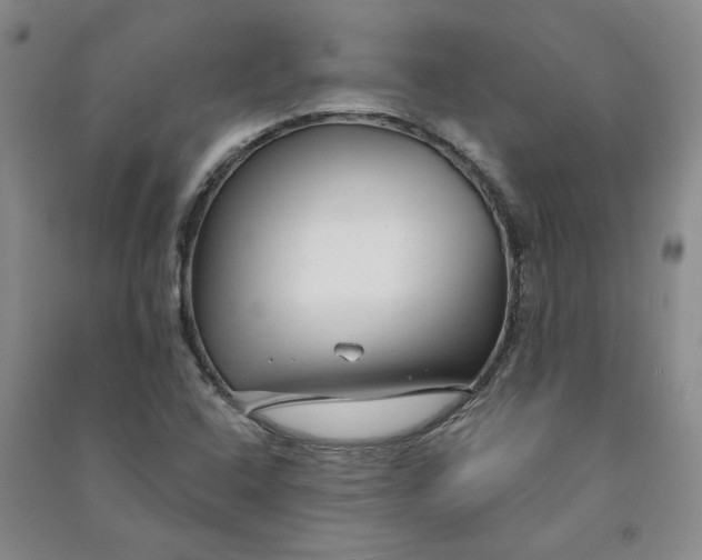 X0000090871408200708171616