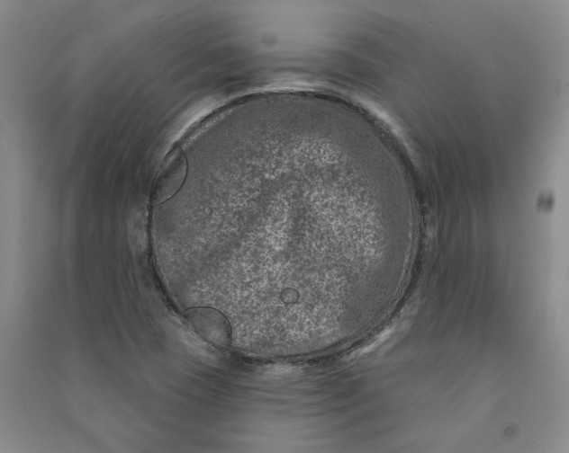 X0000090871409200708171616