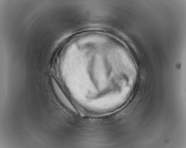 X0000090871411200708171616