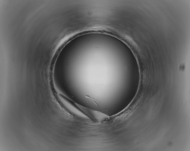 X0000090871412200708171616