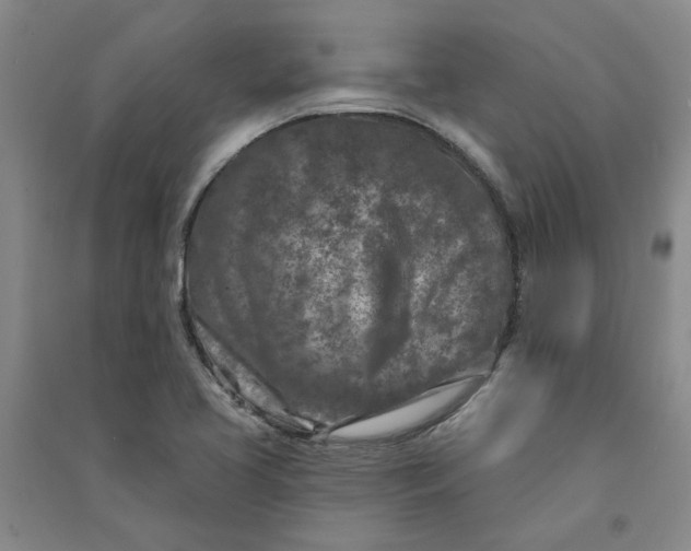 X0000090871413200708171616