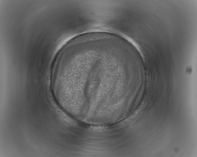 X0000090871415200708171616