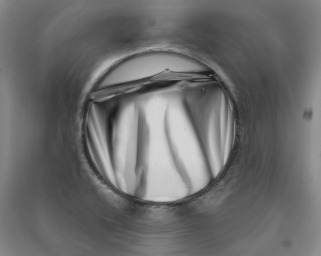 X0000090871416200708171616