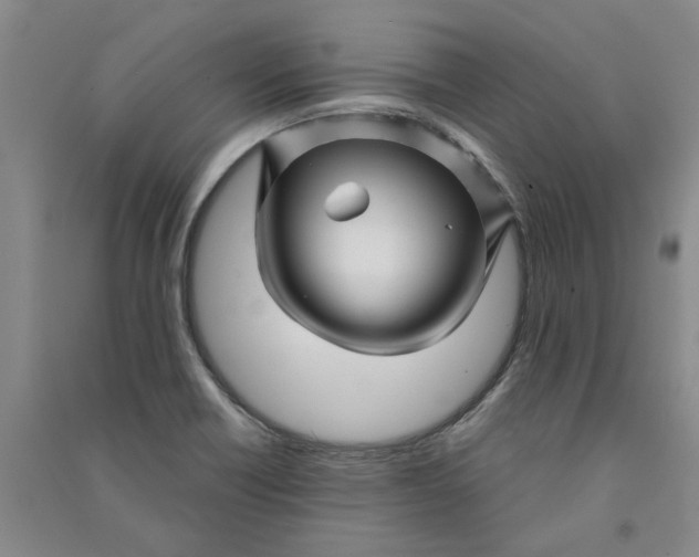 X0000090871418200708171616