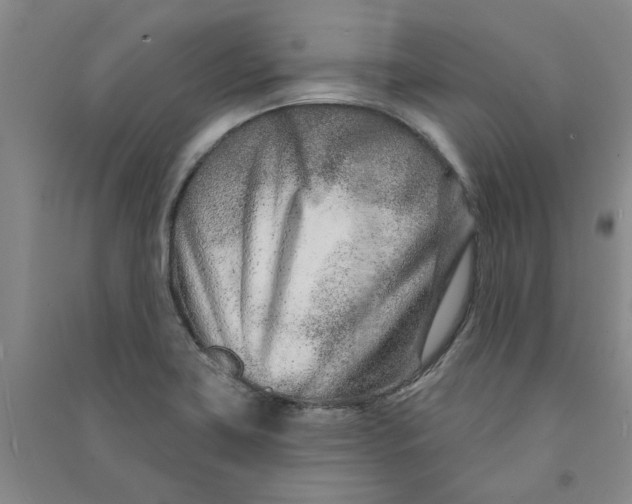 X0000090871419200708171616