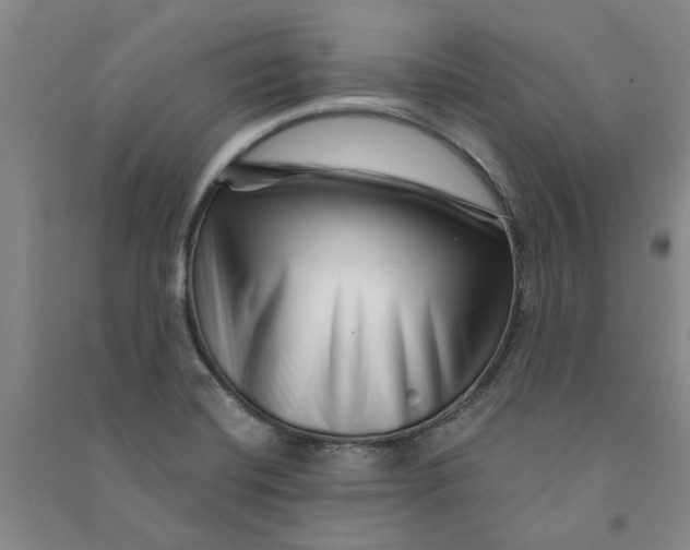 X0000090871420200708171616