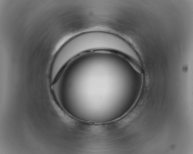 X0000090871422200708171616