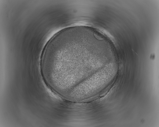 X0000090871423200708171616