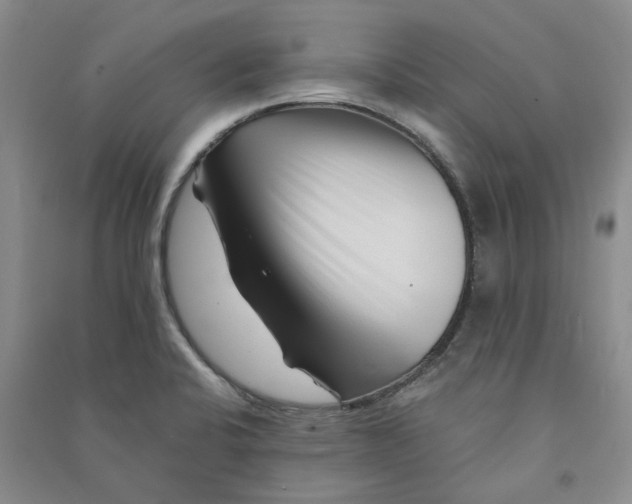 X0000090871424200708171616