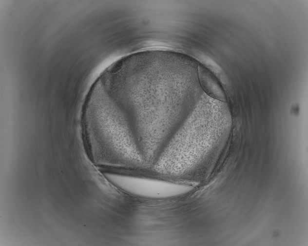 X0000090871427200708171616