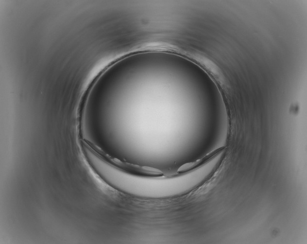 X0000090871430200708171616