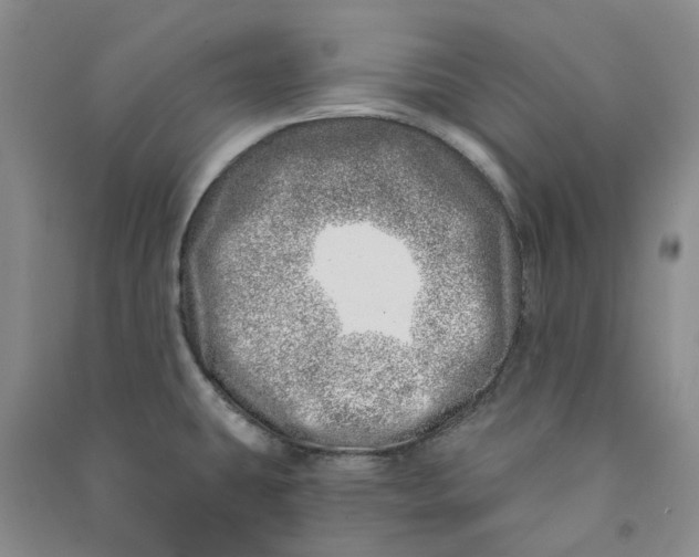 X0000090871431200708171616