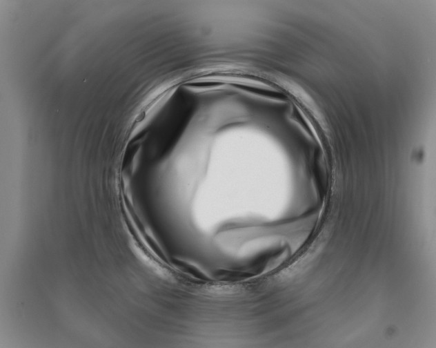 X0000090871433200708171616