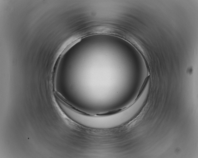 X0000090871434200708171616