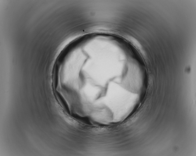 X0000090871435200708171616