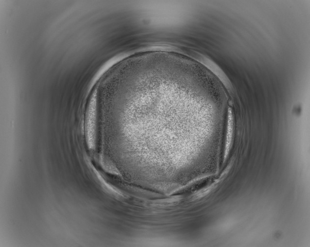 X0000090871436200708171616