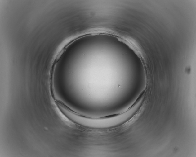 X0000090871438200708171616