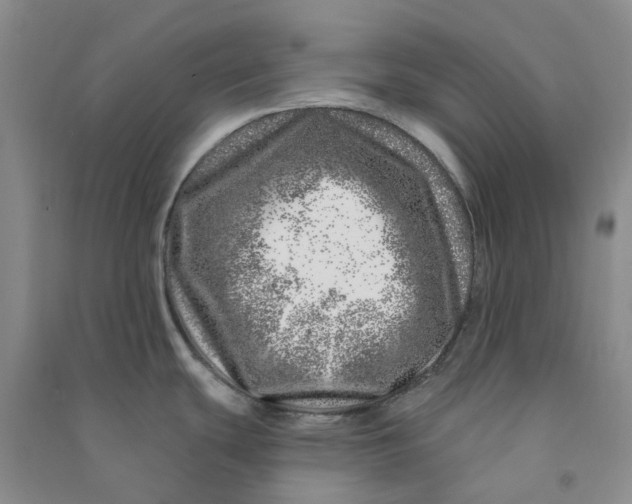 X0000090871439200708171616