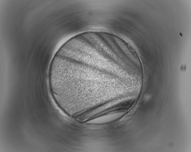 X0000090871440200708171616