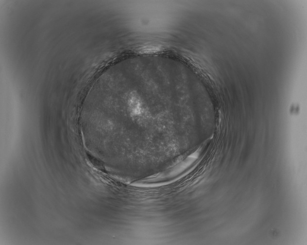 X0000090871441200708171616