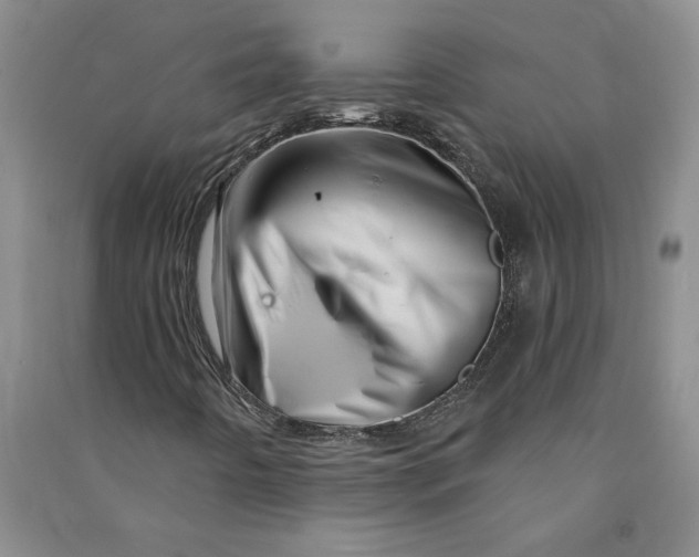 X0000090871442200708171616