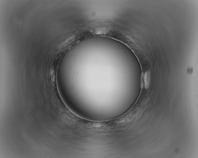 X0000090871443200708171616