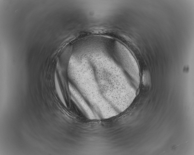 X0000090871444200708171616