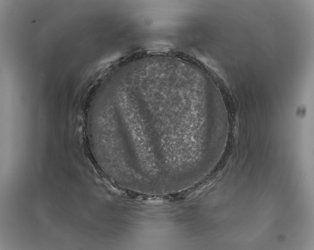 X0000090871445200708171616