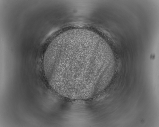 X0000090871446200708171616