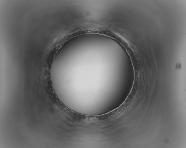 X0000090871447200708171616