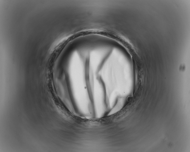 X0000090871448200708171616