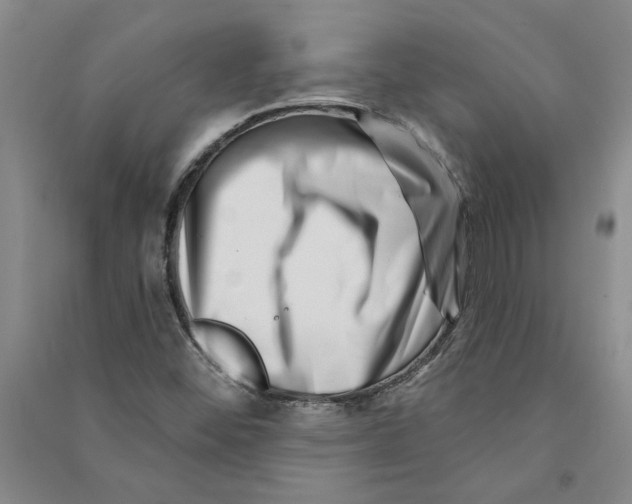 X0000090871452200708171616