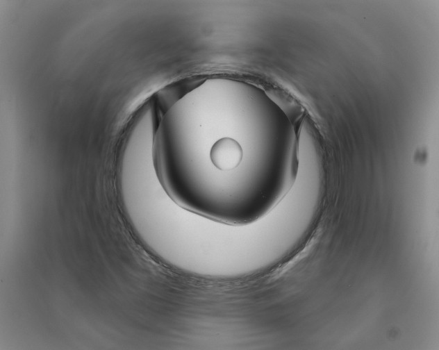 X0000090871453200708171616