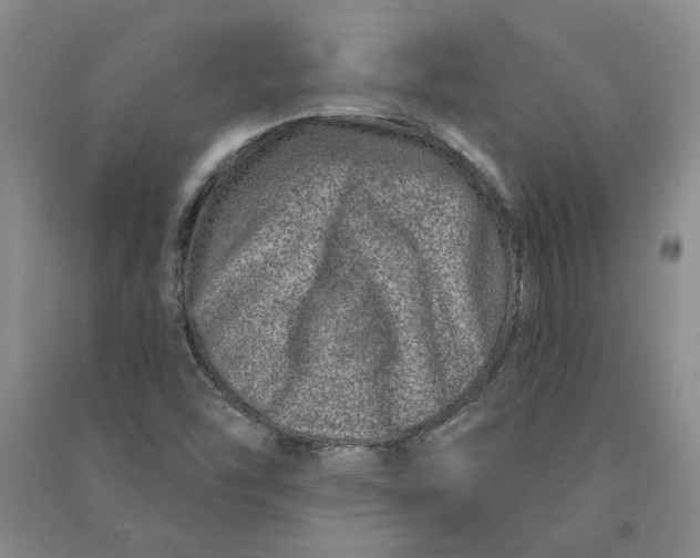 X0000090871454200708171616