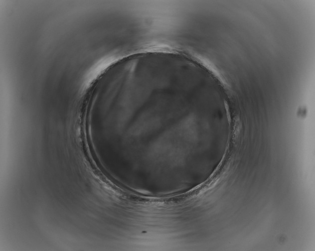 X0000090871455200708171616