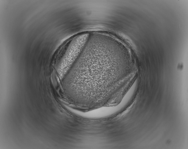 X0000090871457200708171615