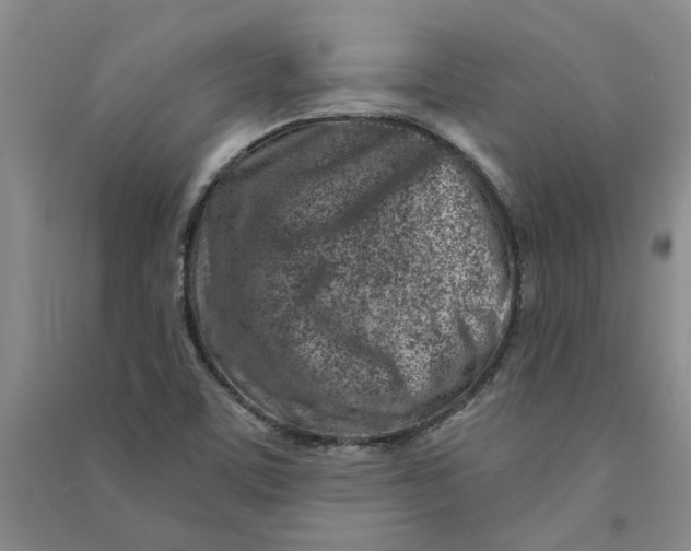 X0000090871459200708171615