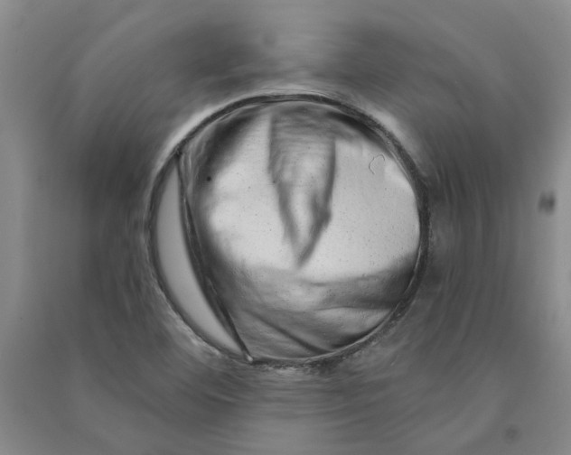 X0000090871460200708171615