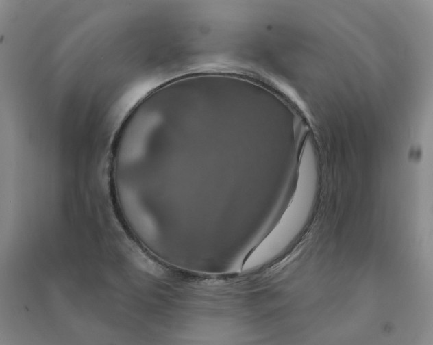 X0000090871463200708171615