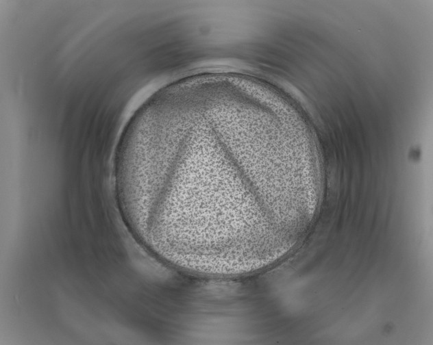 X0000090871466200708171615