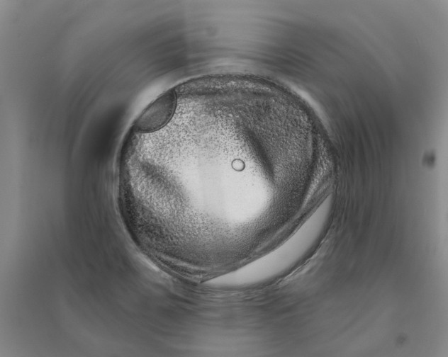 X0000090871467200708171615