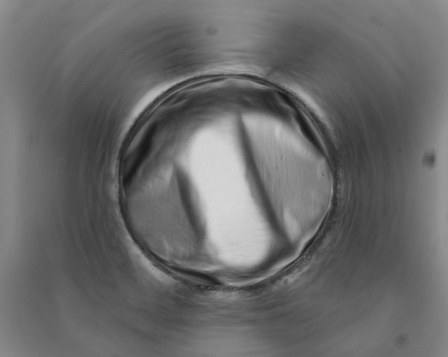 X0000090871468200708171615