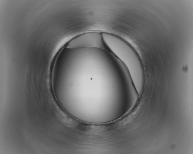 X0000090871469200708171615