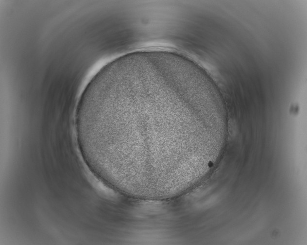 X0000090871470200708171615