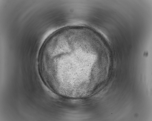 X0000090871471200708171615