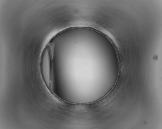 X0000090871472200708171615